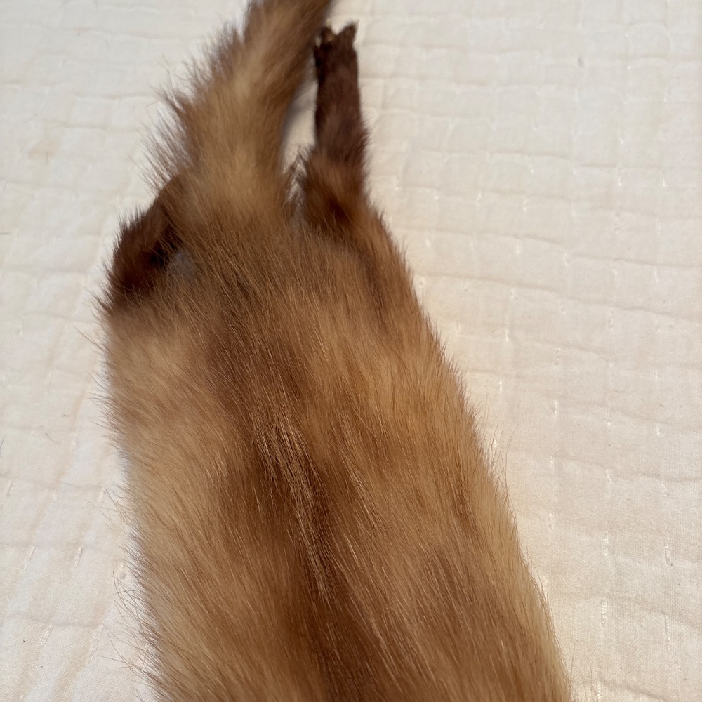 Grandma’s Vintage Fox Wrap - Picture 5 of 6